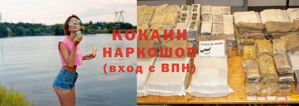дмт Арсеньев