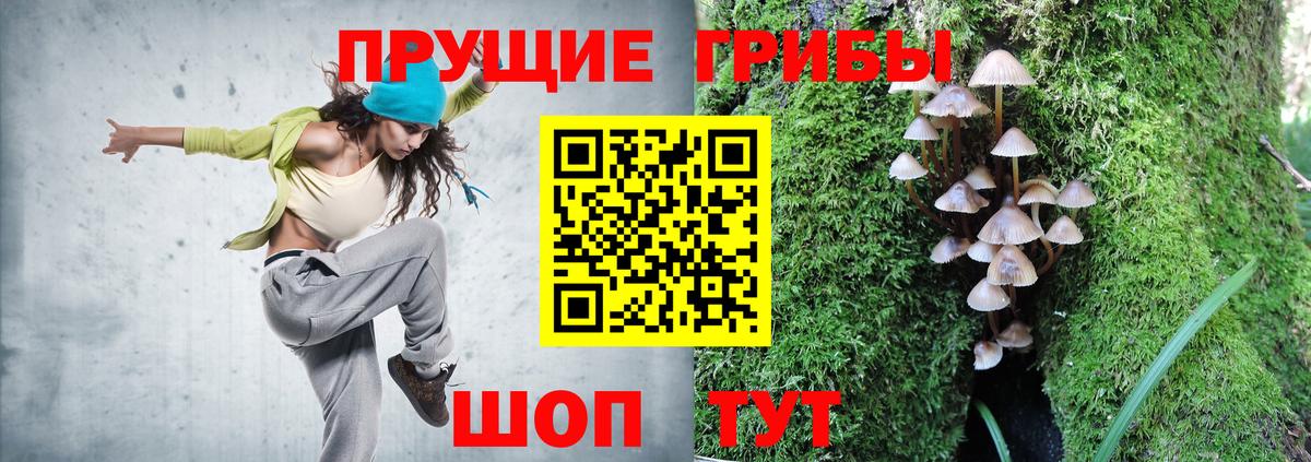 Псилоцибиновые грибы мухоморы  Псилоцибиновые грибы Psilocybine cubensis  Вход с VPN  Родники 